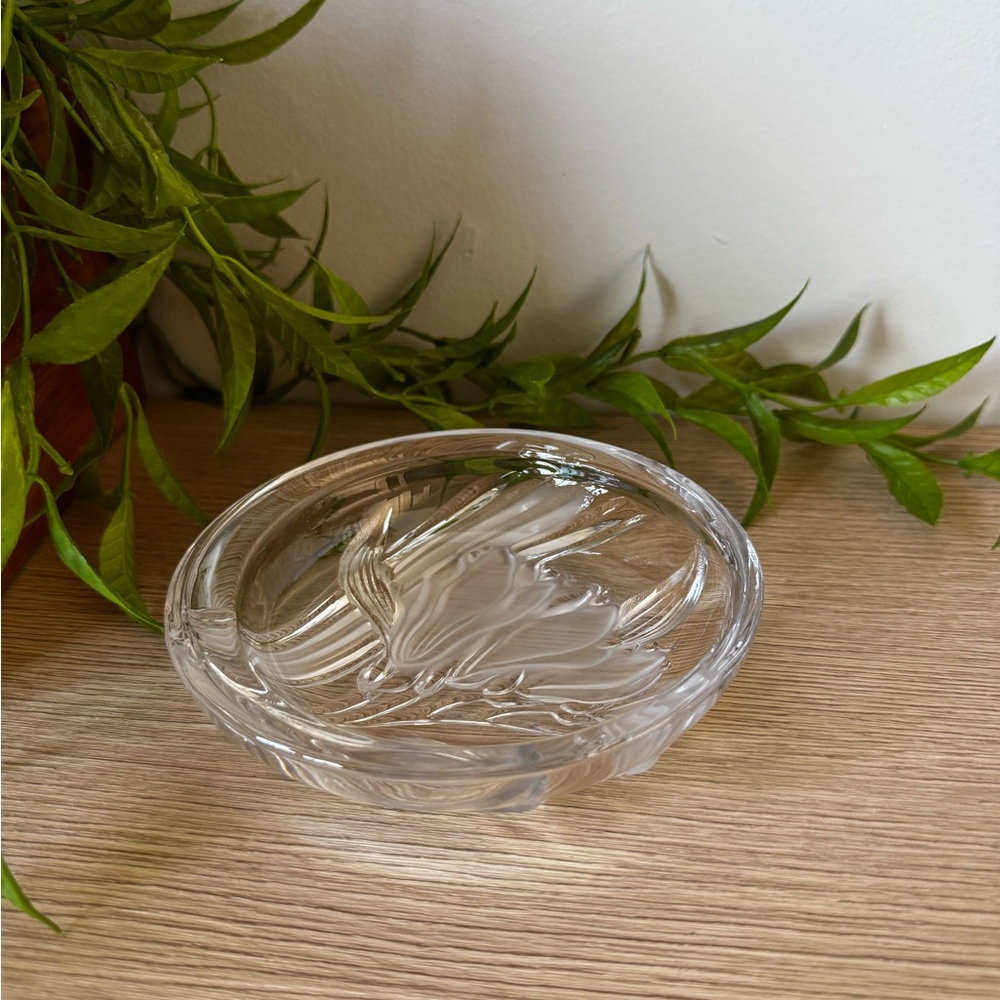 Elegant Clear and Frosted Glass Dish